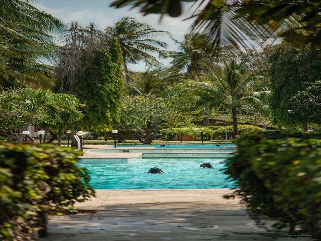Bahari Dhow Beach Villas شاطئ دياني المظهر الخارجي الصورة